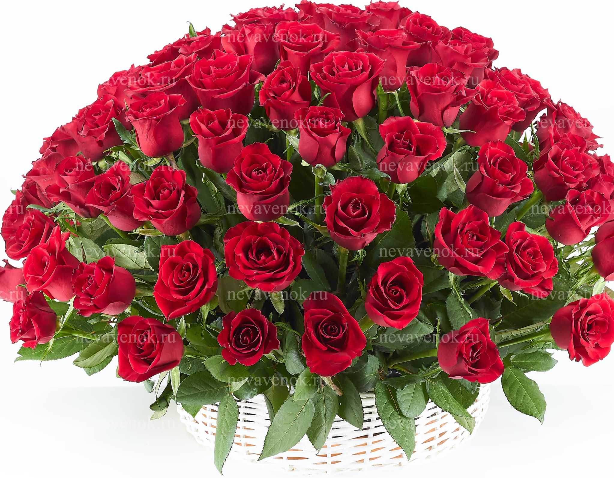 Ритуальная корзина из живых цветов (красная)
