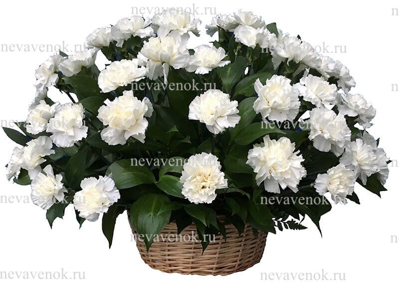 Ритуальная корзина из живых цветов (белая, красная)