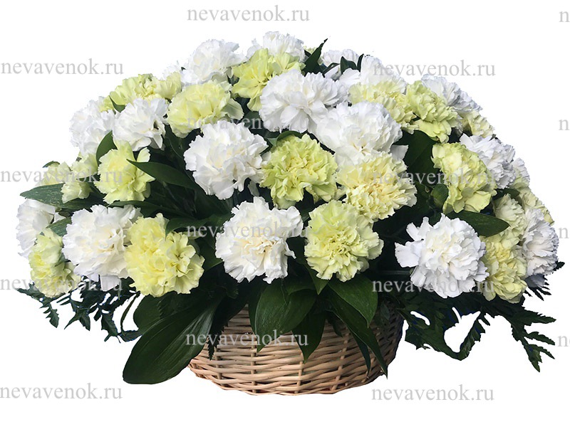 Ритуальная корзина из живых цветов (белая, зеленая)